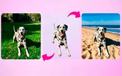 ТОП-5 ИИ-сервисов для замены фона: нейросети для изменения фона на фото 